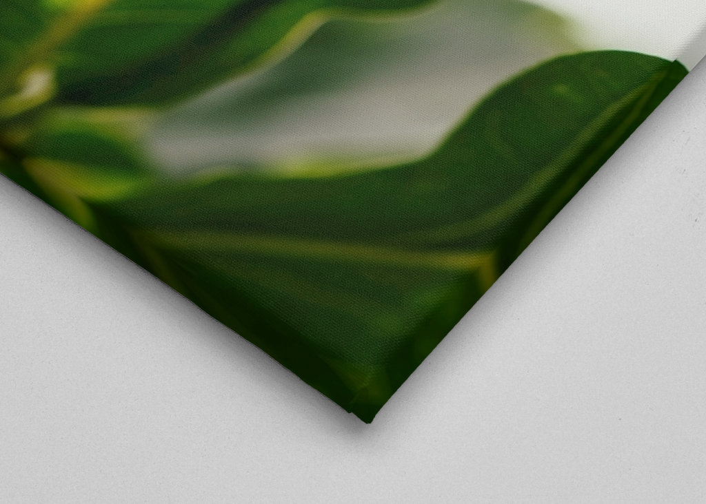 Eichenblatt mit Ameisen