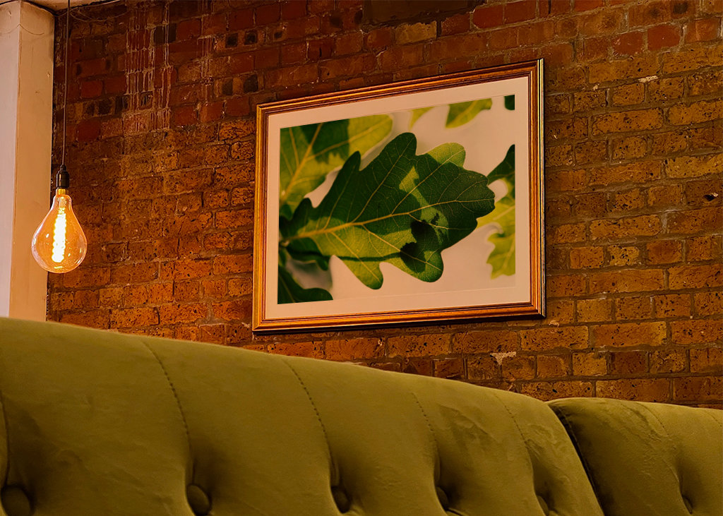 Eichenblatt mit Ameisen