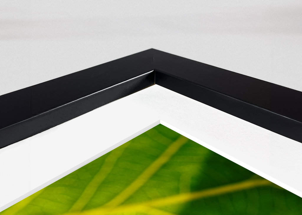 Eichenblatt mit Ameisen