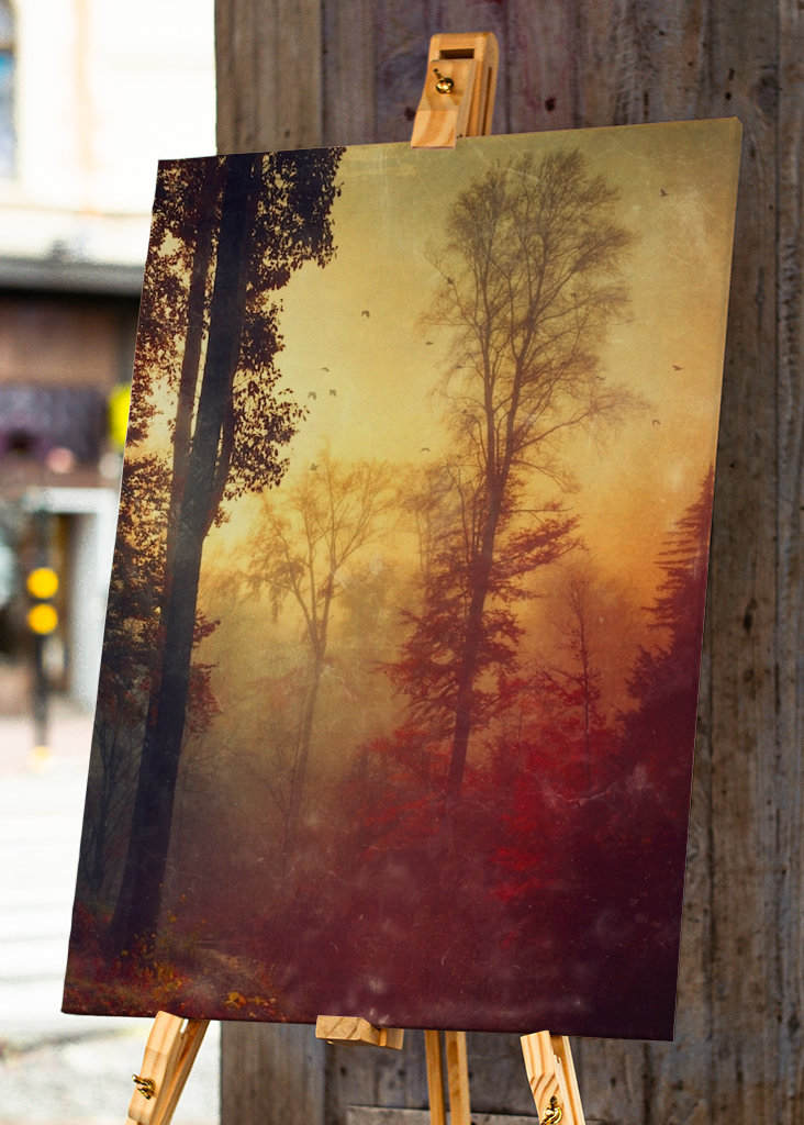 Quiet Autumn Morning