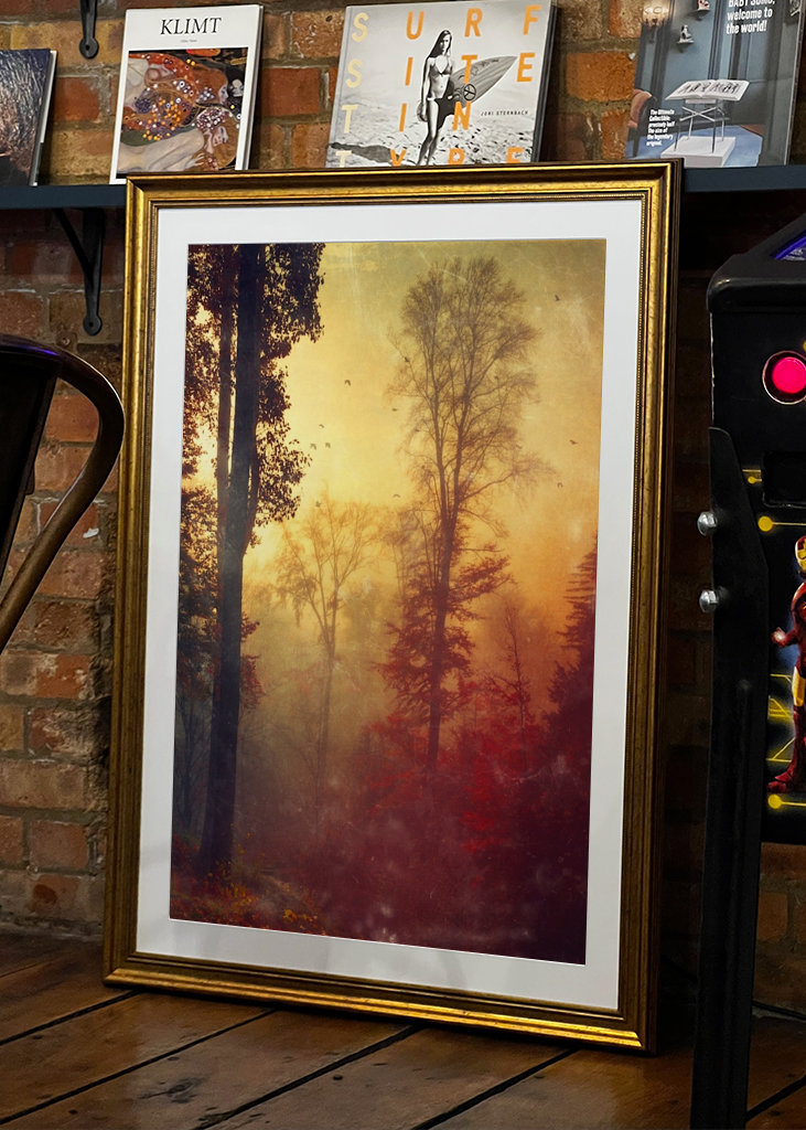 Quiet Autumn Morning