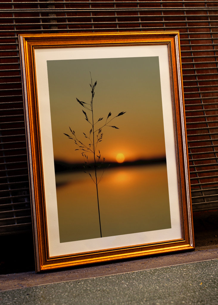 アートポスターダイアン・ロマネロ＜EVENING SUN＞ アートポスター