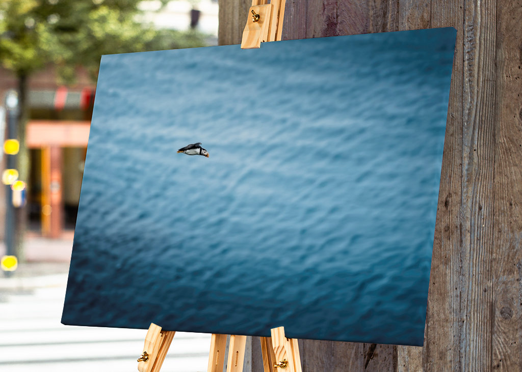 Papuchalkové Létání