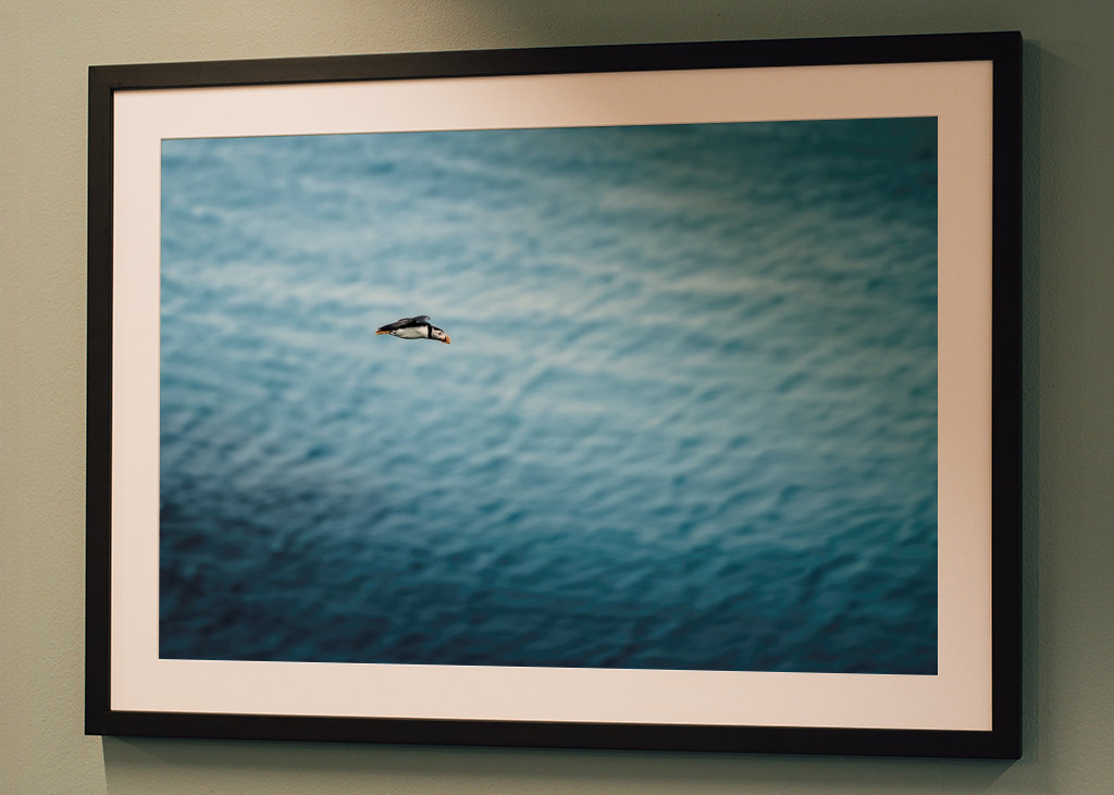 Papuchalkové Létání