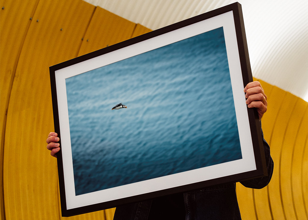 Papuchalkové Létání