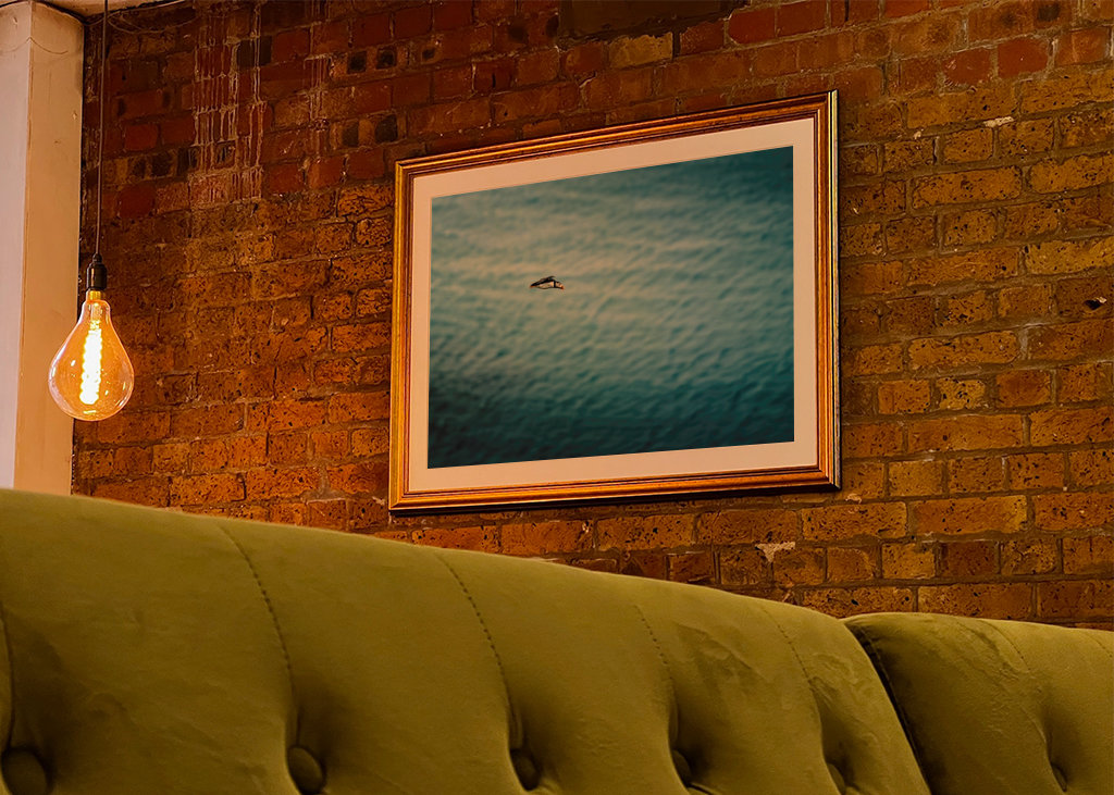 Papuchalkové Létání