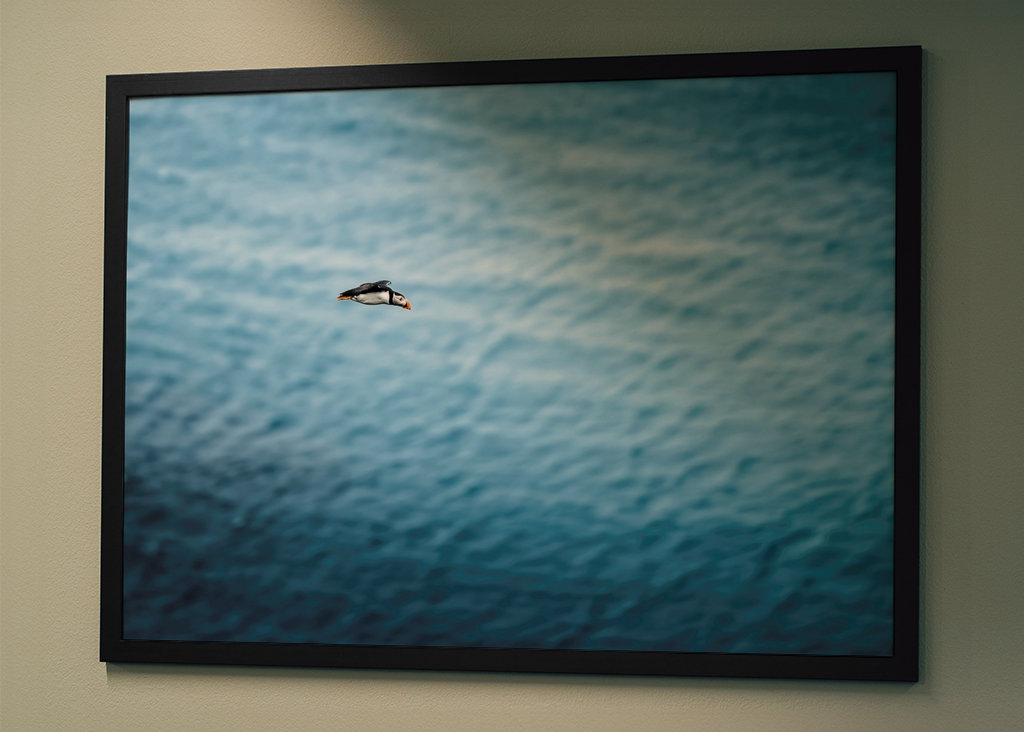 Papuchalkové Létání