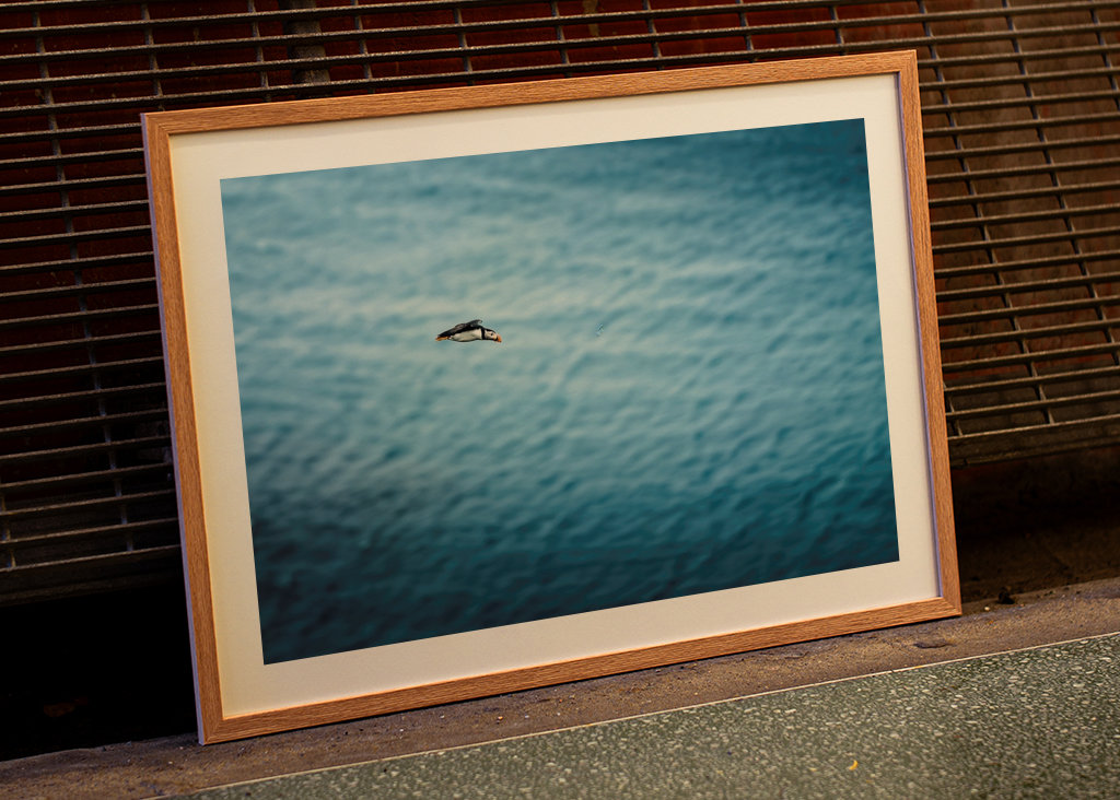 Papuchalkové Létání