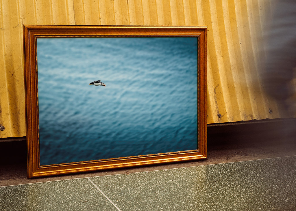 Papuchalkové Létání