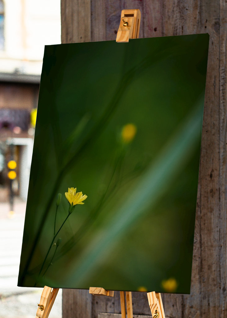 Mały żółty kwiat w lesie