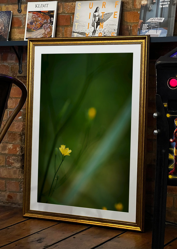 Mały żółty kwiat w lesie