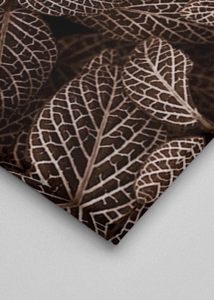 Patterns  in nature II