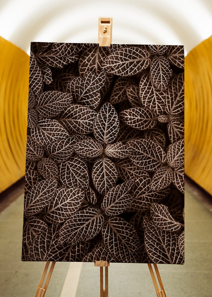 Patterns  in nature II