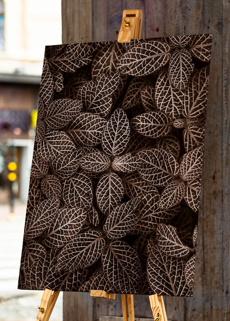 Patterns  in nature II