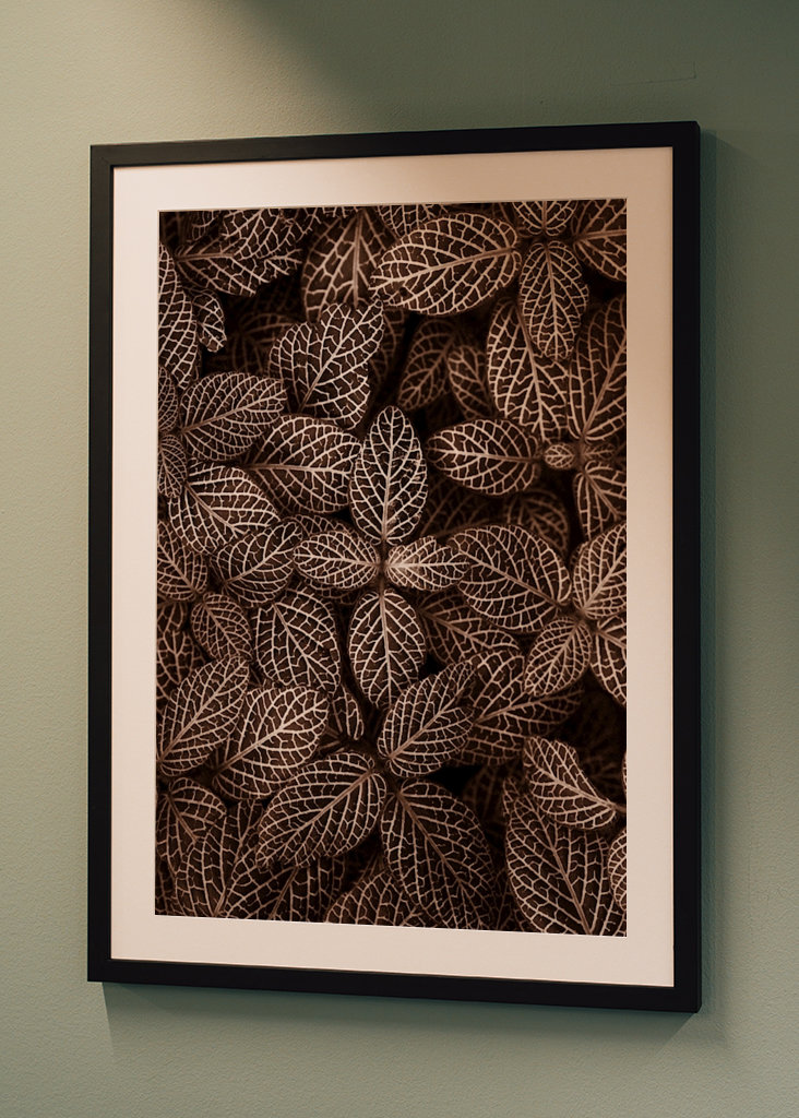 Patterns  in nature II