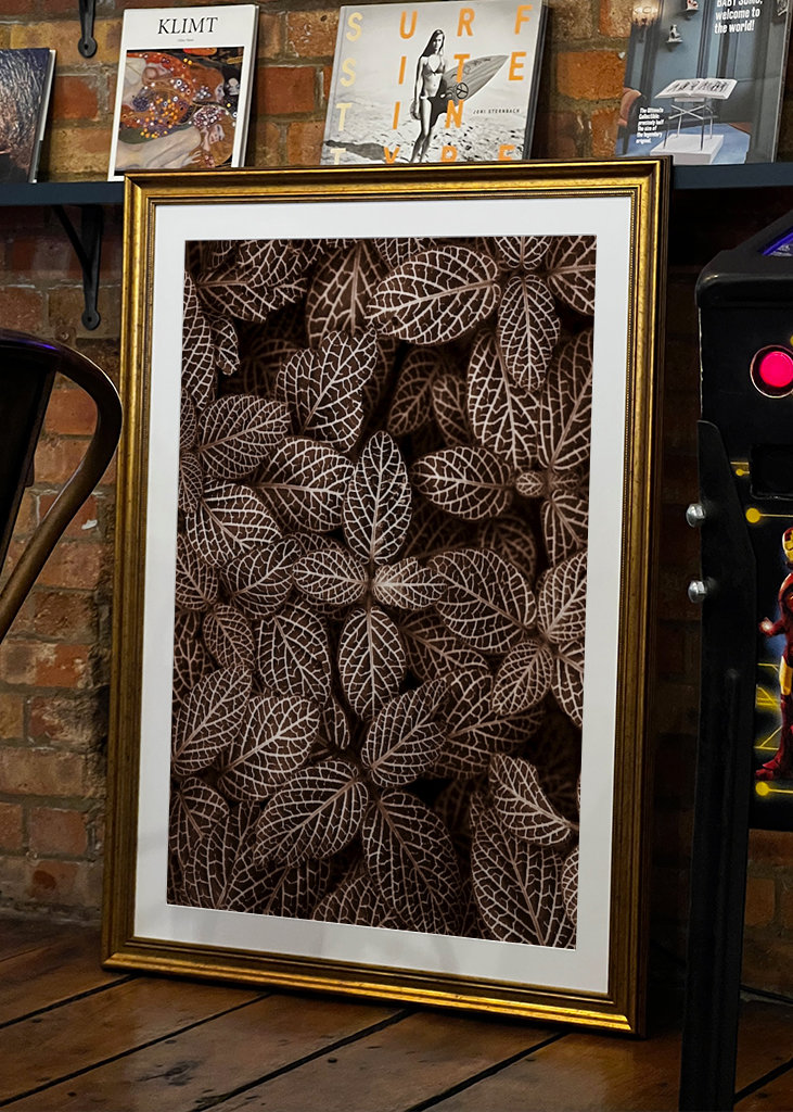 Patterns  in nature II