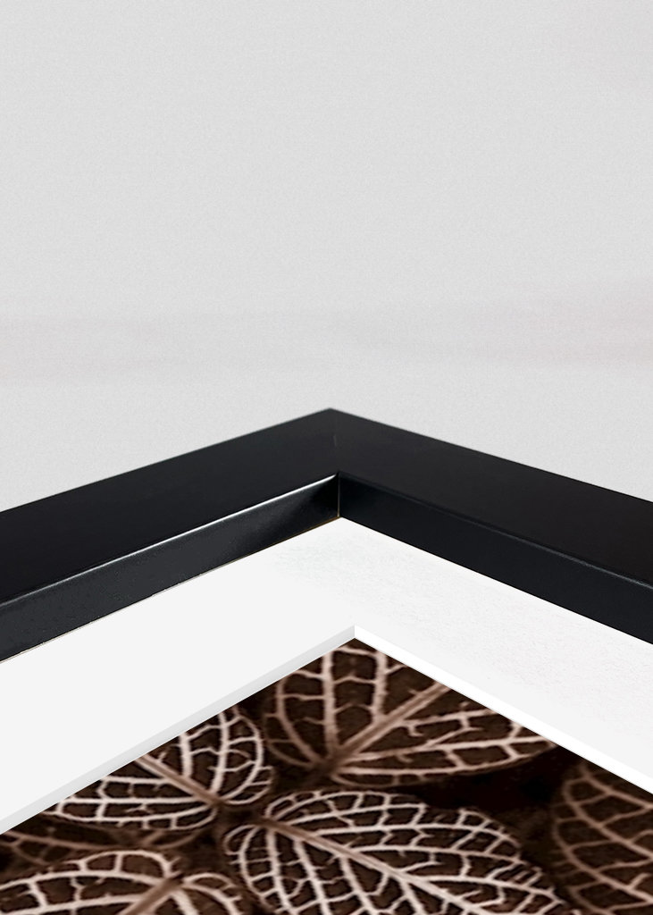 Patterns  in nature II