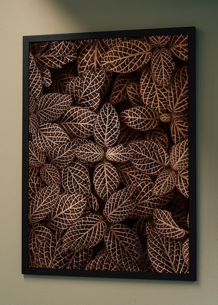 Patterns  in nature II