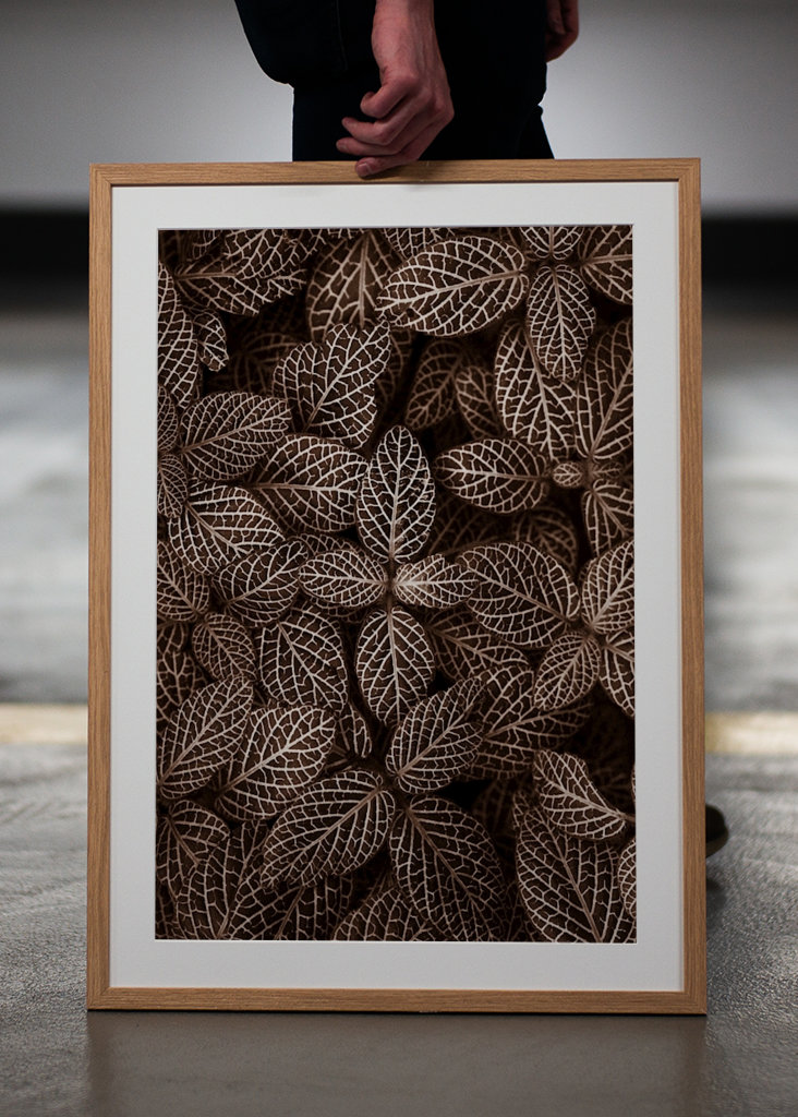 Patterns  in nature II