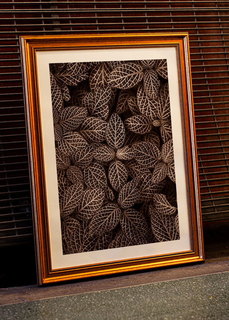 Patterns  in nature II