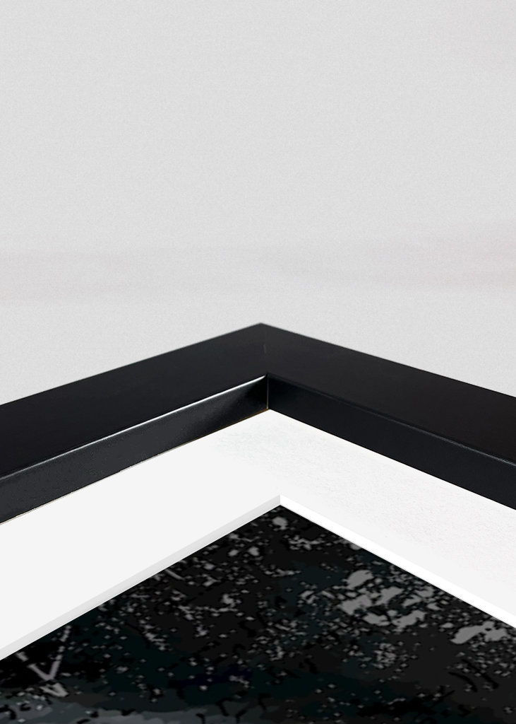 popkunst - Albert Einstein