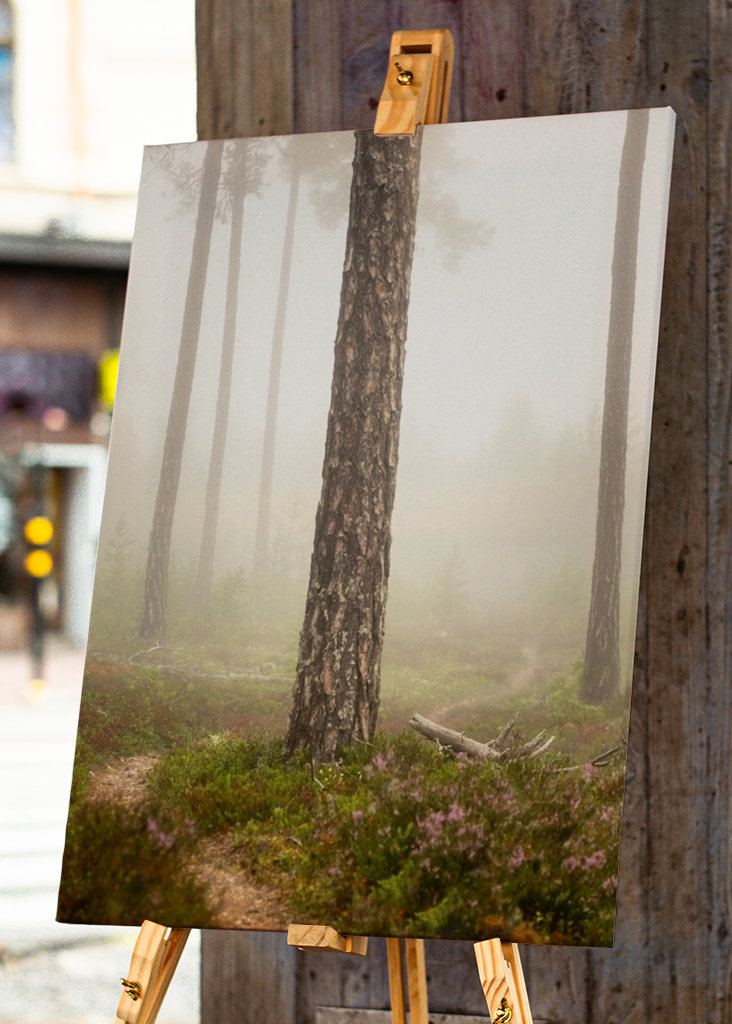 Foggy paths take you places