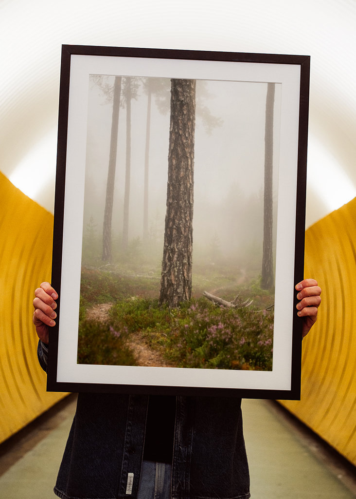 Foggy paths take you places