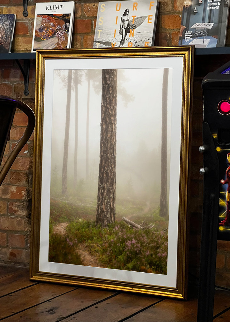 Foggy paths take you places