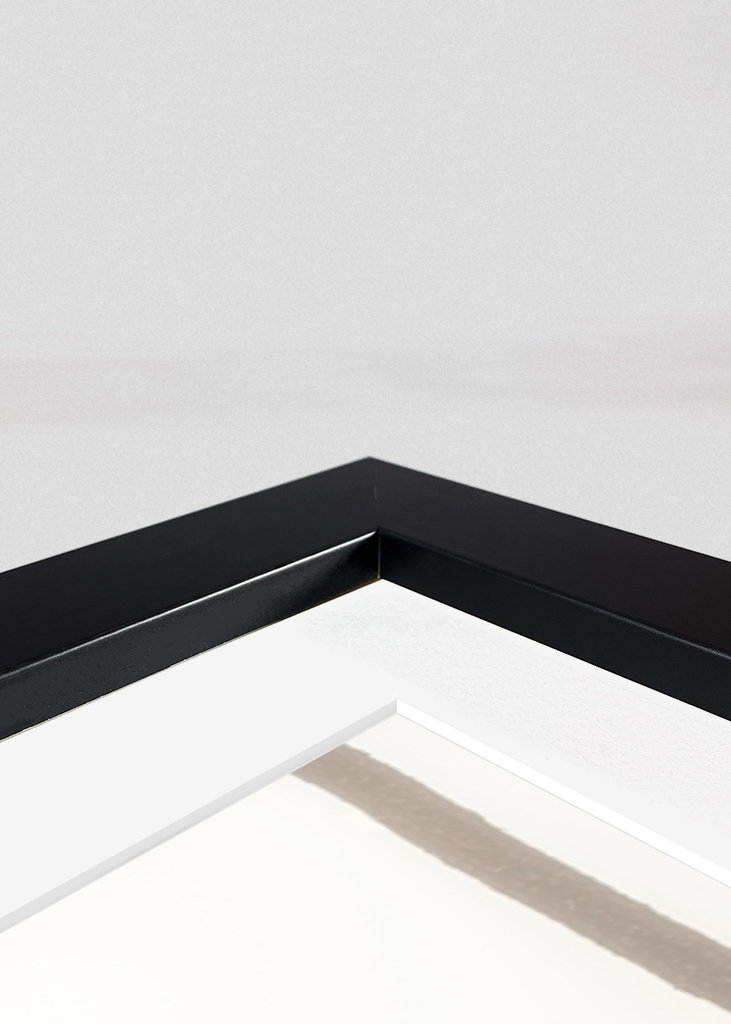 Foggy paths take you places