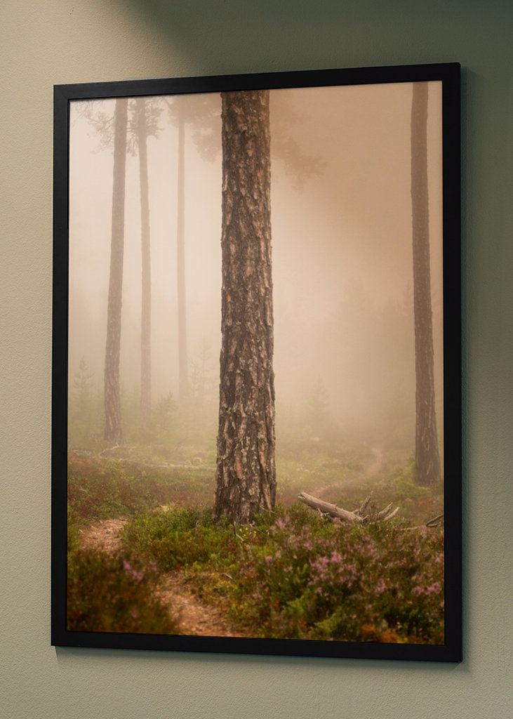 Foggy paths take you places