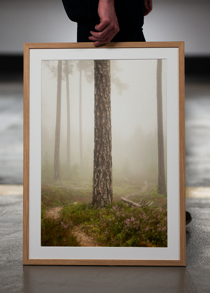 Foggy paths take you places