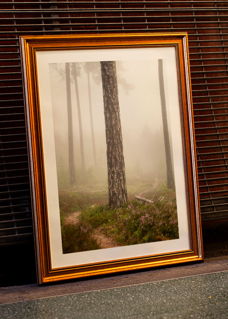 Foggy paths take you places