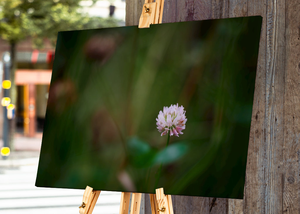 Květ jetele ve vysoké trávě