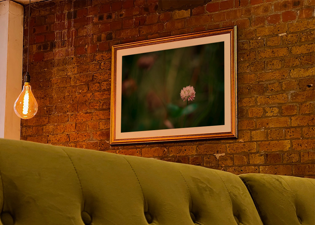 Květ jetele ve vysoké trávě