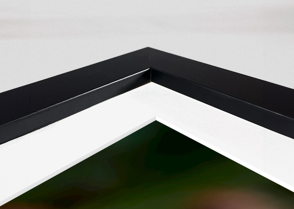 Květ jetele ve vysoké trávě