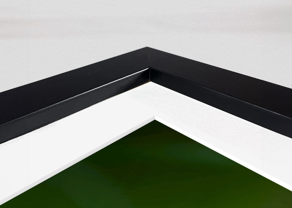 Květ červeného jetele v trávě