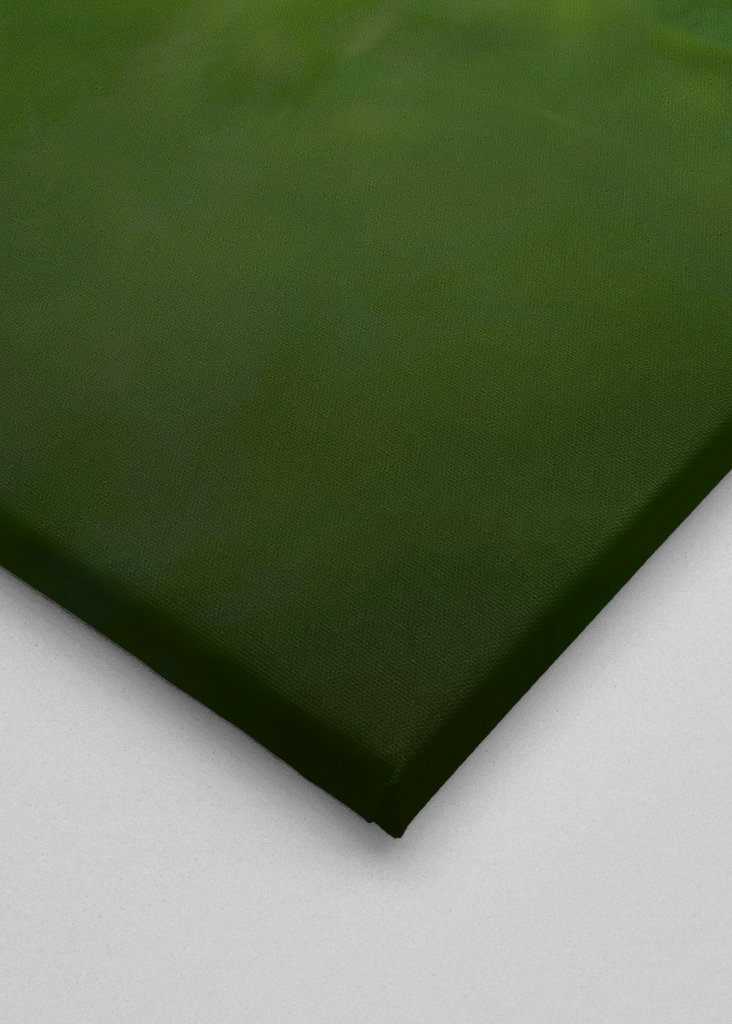 Květ bílého jetele v trávě