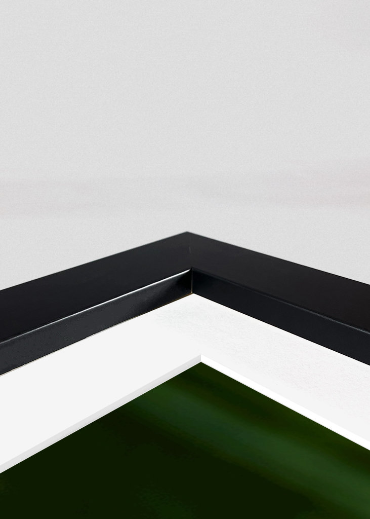 Květ bílého jetele v trávě