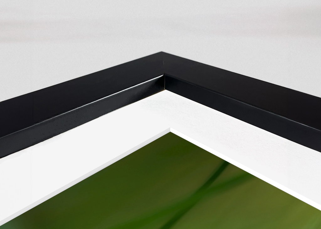 Květ bílého jetele v trávě