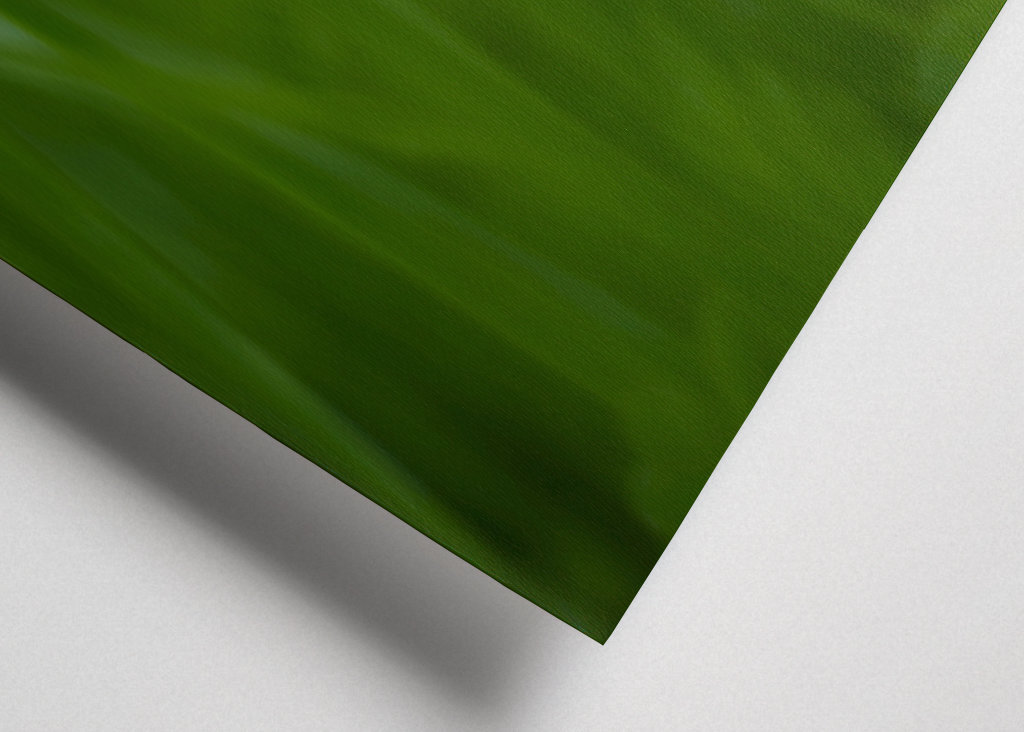 Květ bílého jetele v trávě