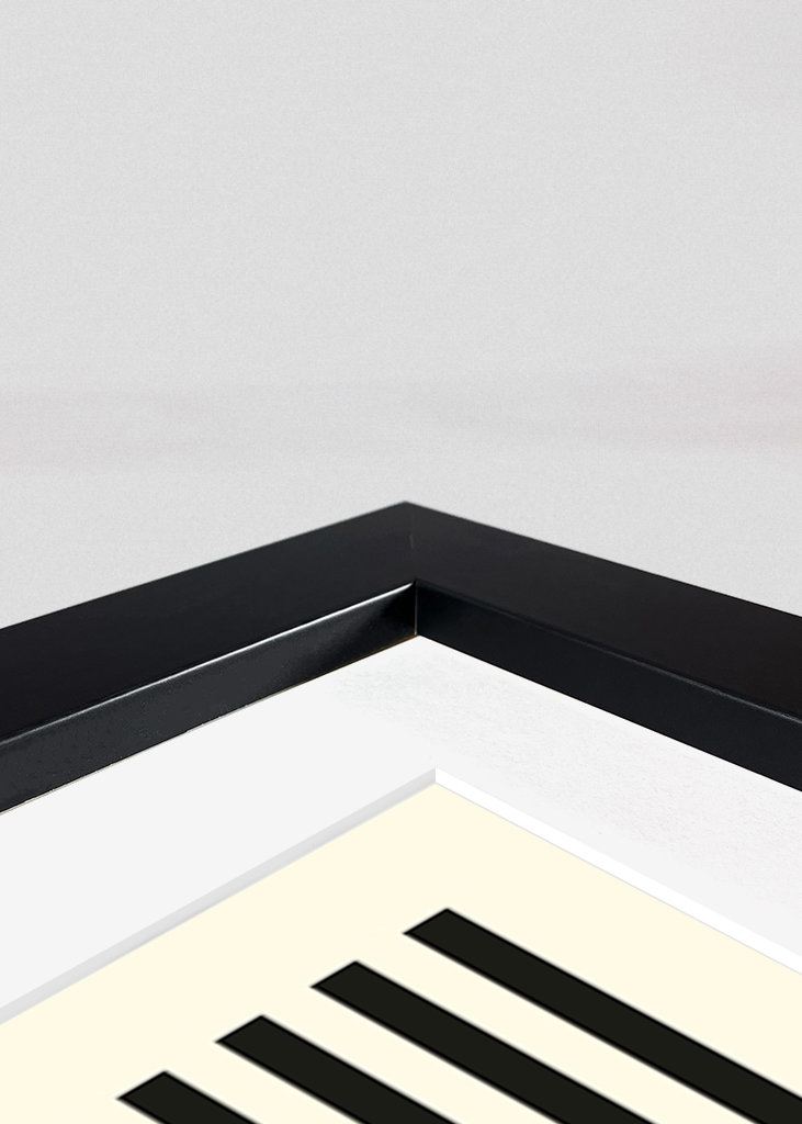 Jóga Botanic plakát