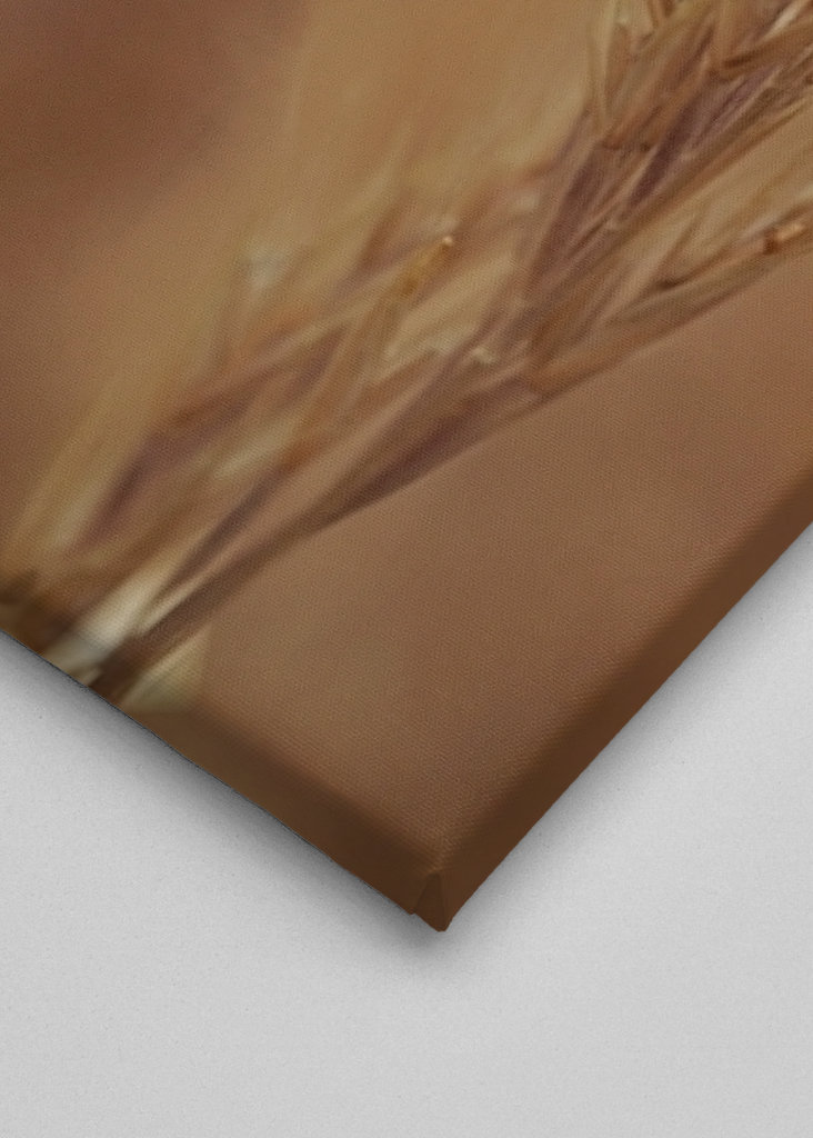 Rozmazané obiloviny