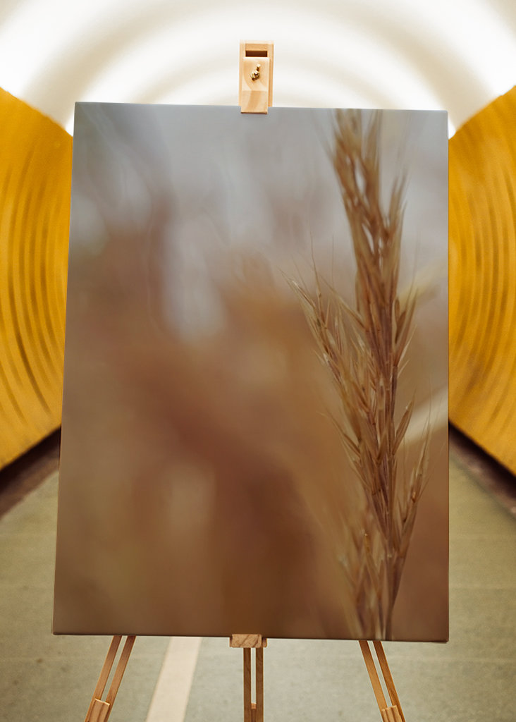 Rozmazané obiloviny