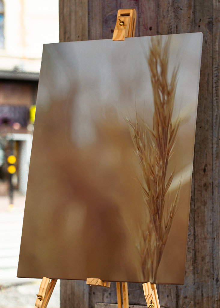 Rozmazané obiloviny