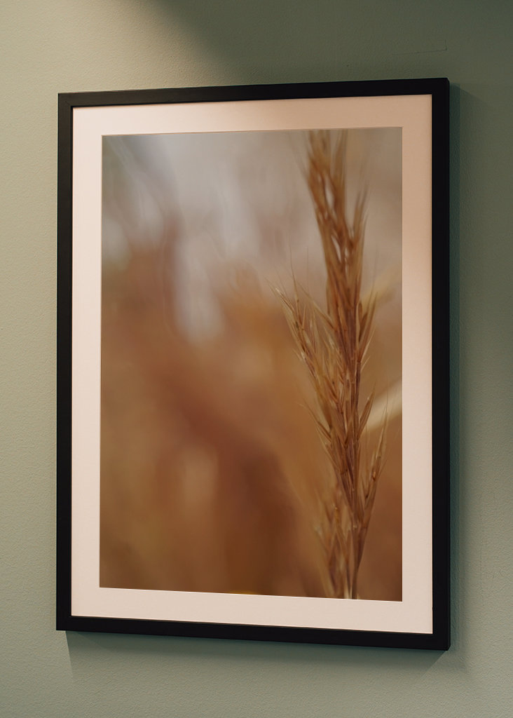 Rozmazané obiloviny