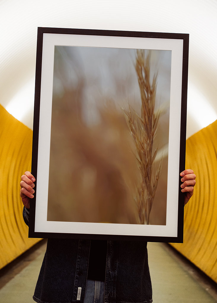 Rozmazané obiloviny