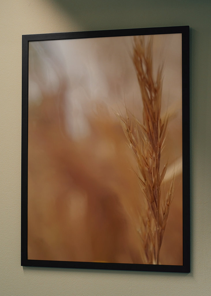 Rozmazané obiloviny