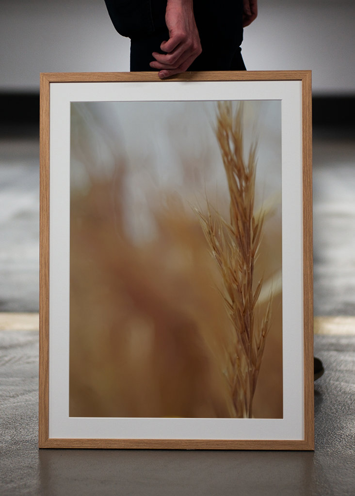 Rozmazané obiloviny