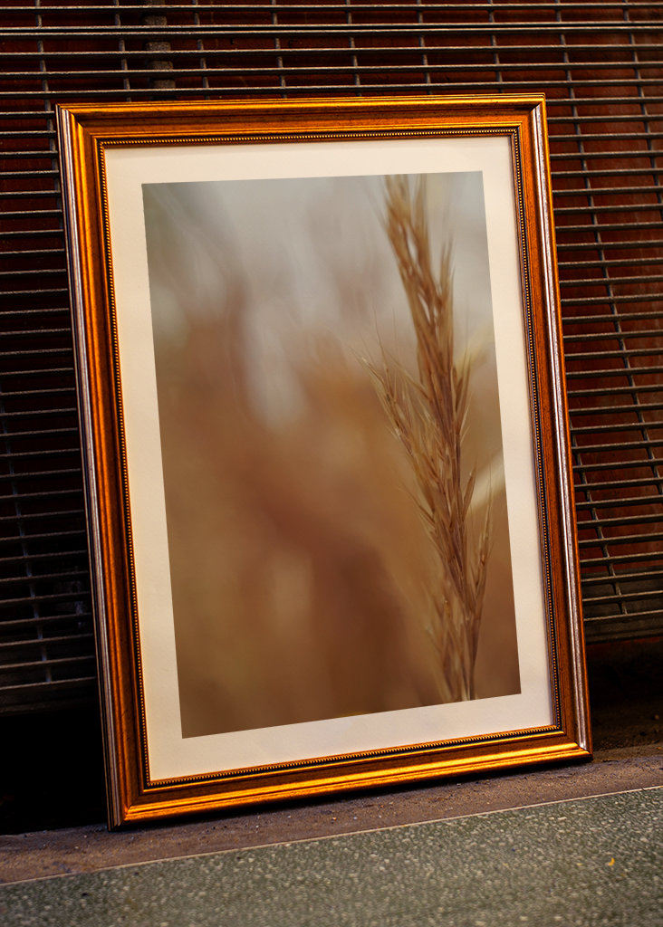 Rozmazané obiloviny