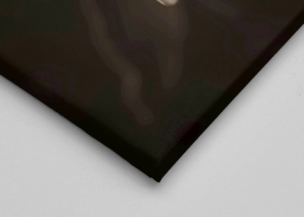 Blomsterhoveder af silkeplanten 